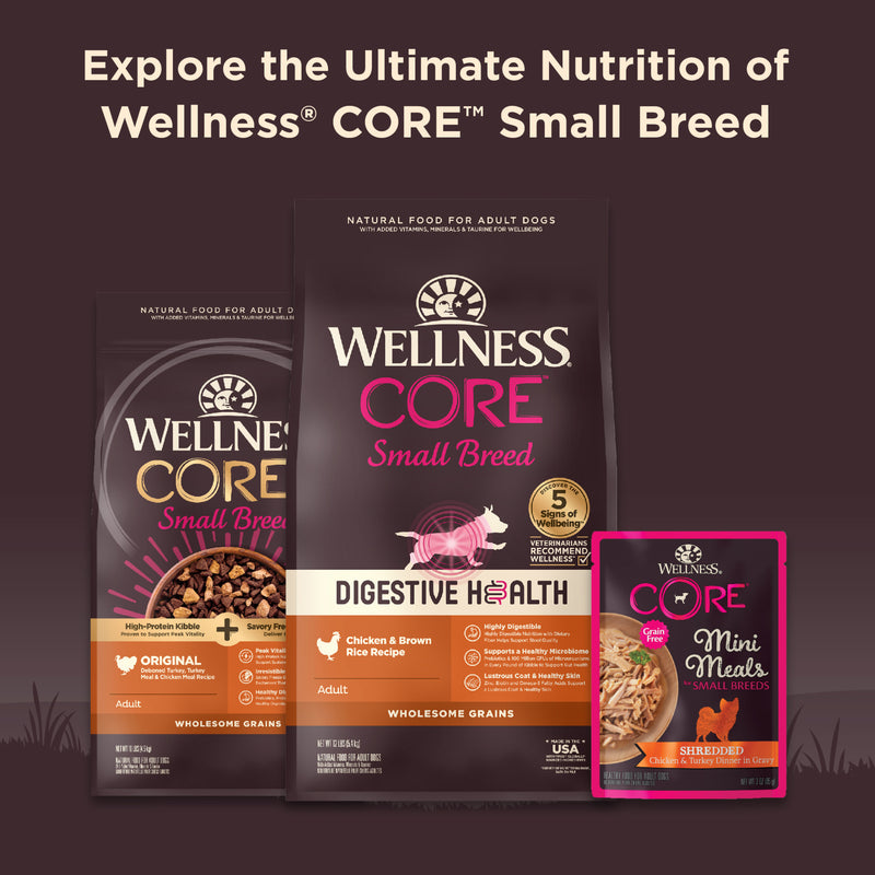 Wellness CORE Natural Grain Free Small Breed Mini Meals Wet Dog Food, Shredded Chicken & Turkey Dinner in Gravy, 3-Ounce Pouch