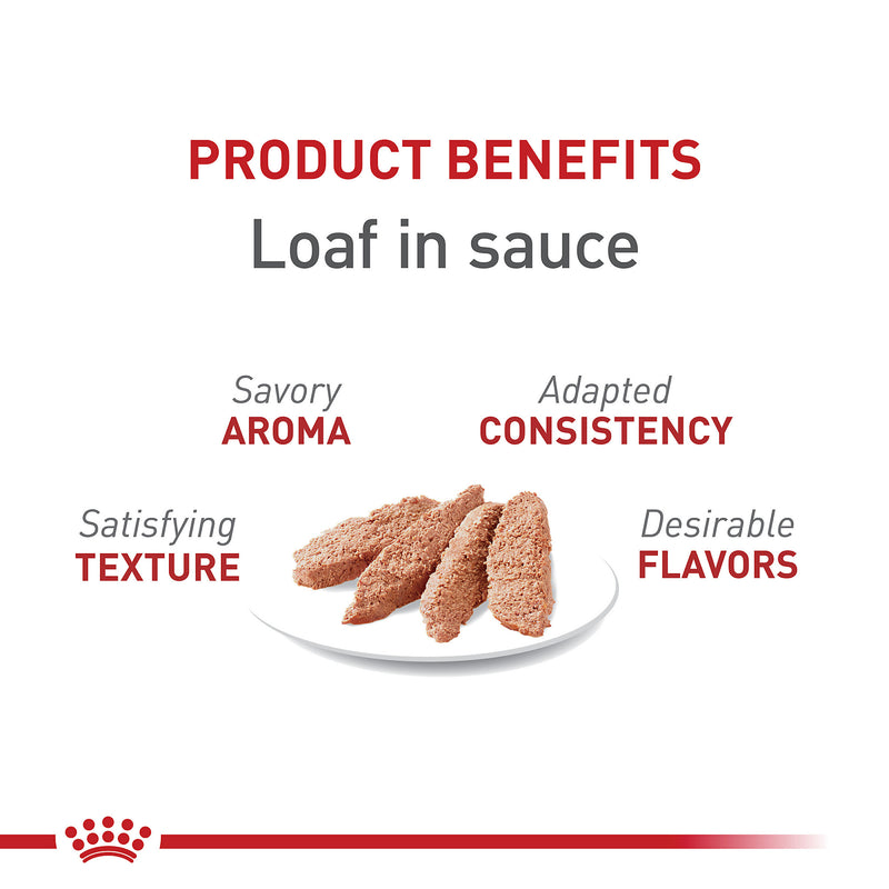 Royal Canin® Feline Health Nutrition™ Adult Instinctive Loaf In Sauce Canned Cat Food, 3 oz
