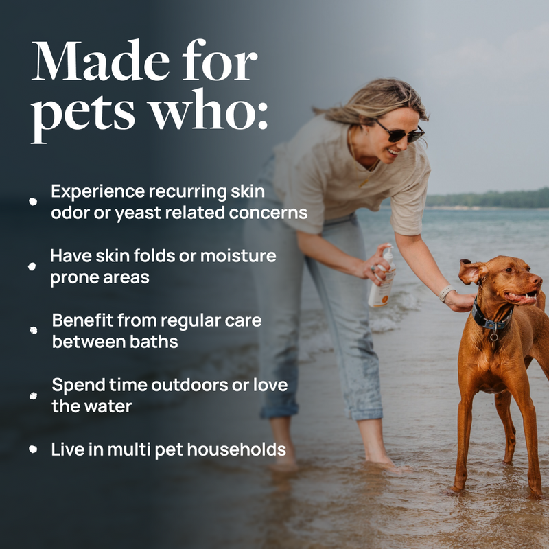
Veterinary Formula Clinical Care Antiseptic & Antifungal Spray for Dogs & Cats, 8 oz
