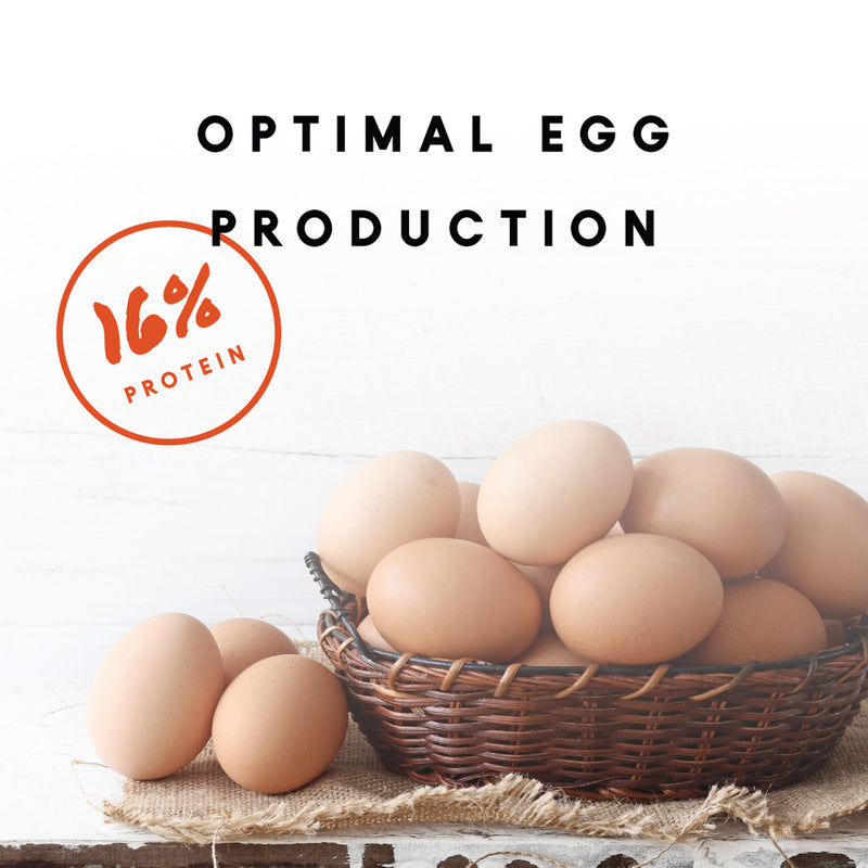 Manna Pro Layer Crumbles 8lb