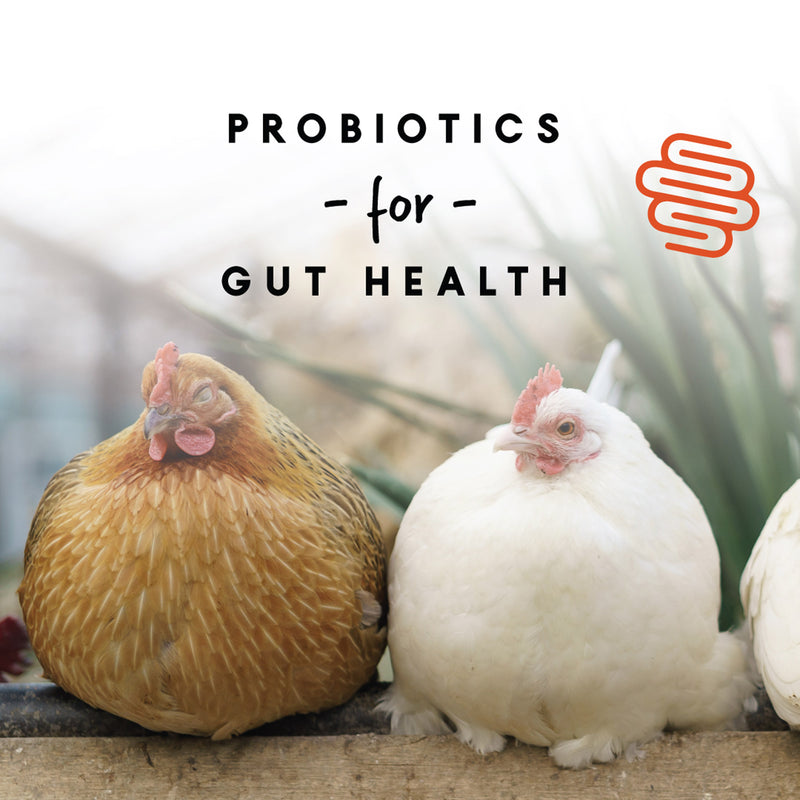 Manna Pro Layer Crumbles 8lb