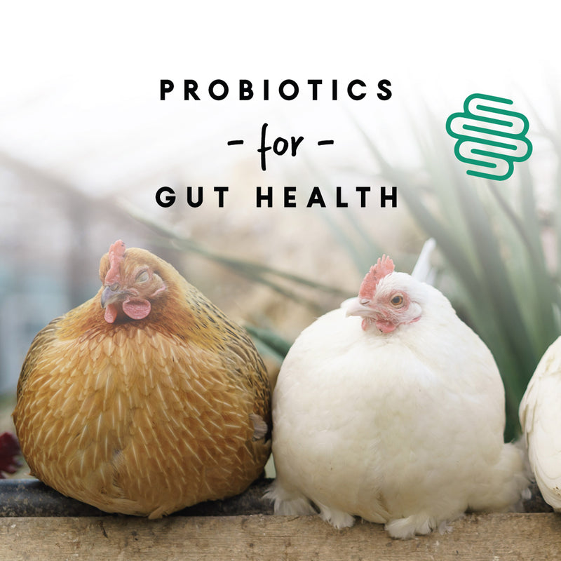 Manna Pro Layer Pellets 8lb