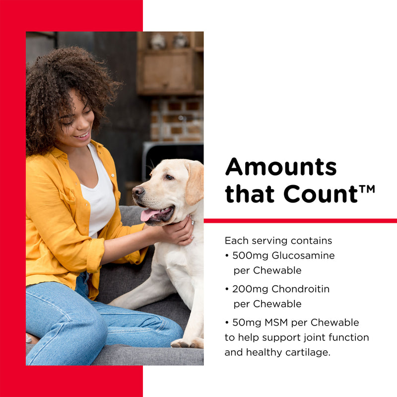 Nutri-Vet Hip & Joint Extra Strength Chewables 120 Count