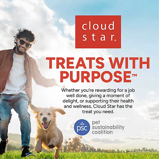 Cloud Star Wag More Bark Less Jerky Grain Free Dog Treats, Texas BBQ Beef, 10 oz.