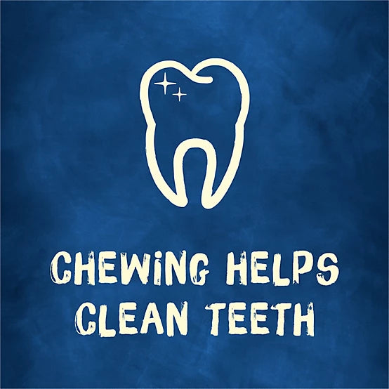 Purina Busy Bone Adult Dog Chew Bone Treats, Peanut Butter, 10 ct. Pouch