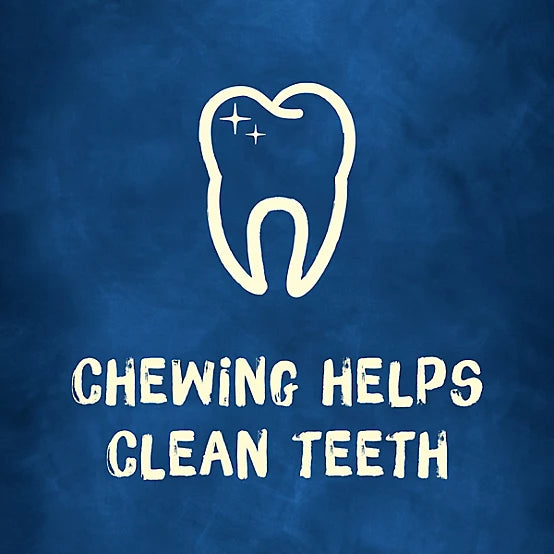 Purina Busy With Beggin' Small/Medium Breed Twist'd Dog Treats, 36 oz.