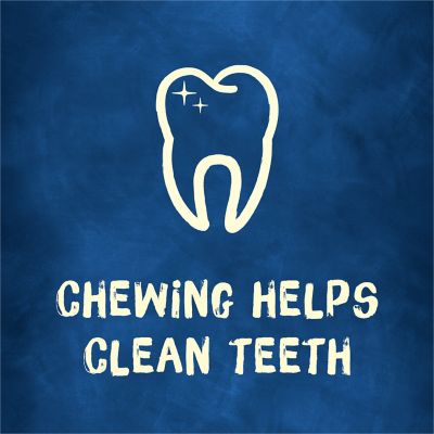 Purina Busy Bone Adult Dog Chew Bone Treats, Peanut Butter, 6 ct. Pouch