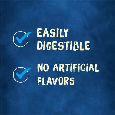 Purina Busy Bone Adult Dog Chew Bone Treats, Peanut Butter, 6 ct. Pouch