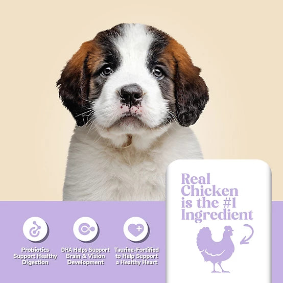 4health with Wholesome Grains Large Breed Puppy Chicken Formula Dry Dog Food, 35lb