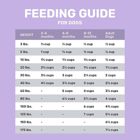 4health with Wholesome Grains Large Breed Puppy Chicken Formula Dry Dog Food, 35lb
