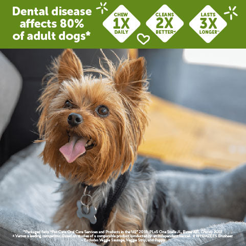 WHIMZEES by Wellness Natural Daily Dental Long Lasting Dog Treats, Medium Veggie Strip