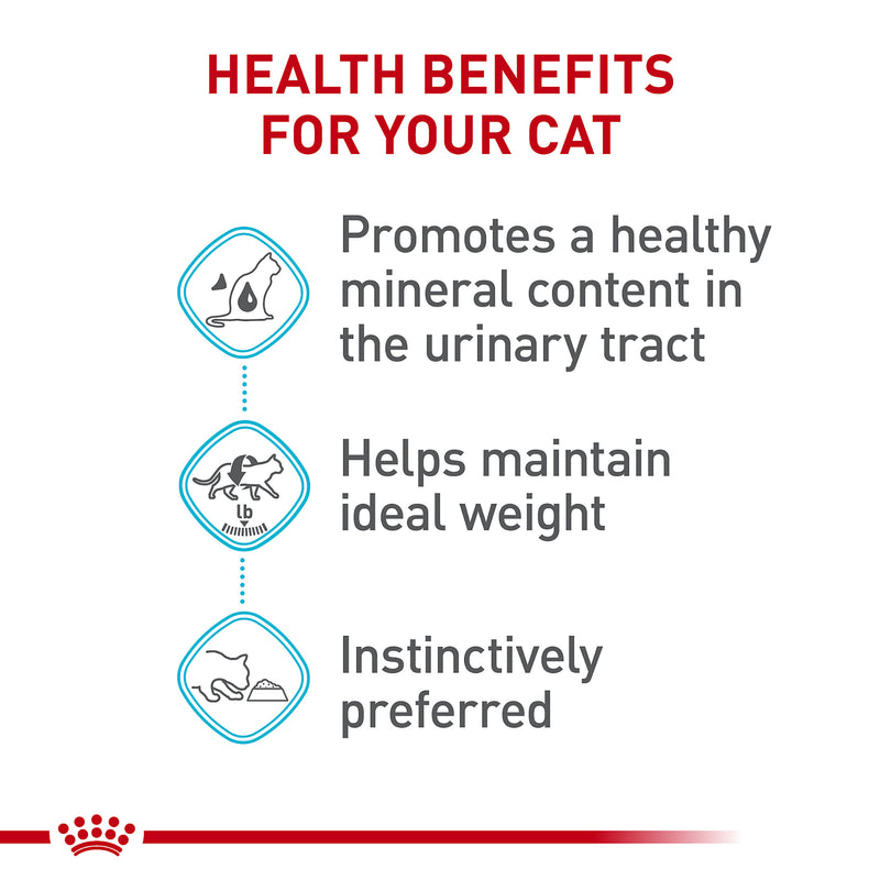 Royal Canin® Feline Care Nutrition™ Urinary Care Thin Slices in Gravy Canned Cat Food, 3 oz