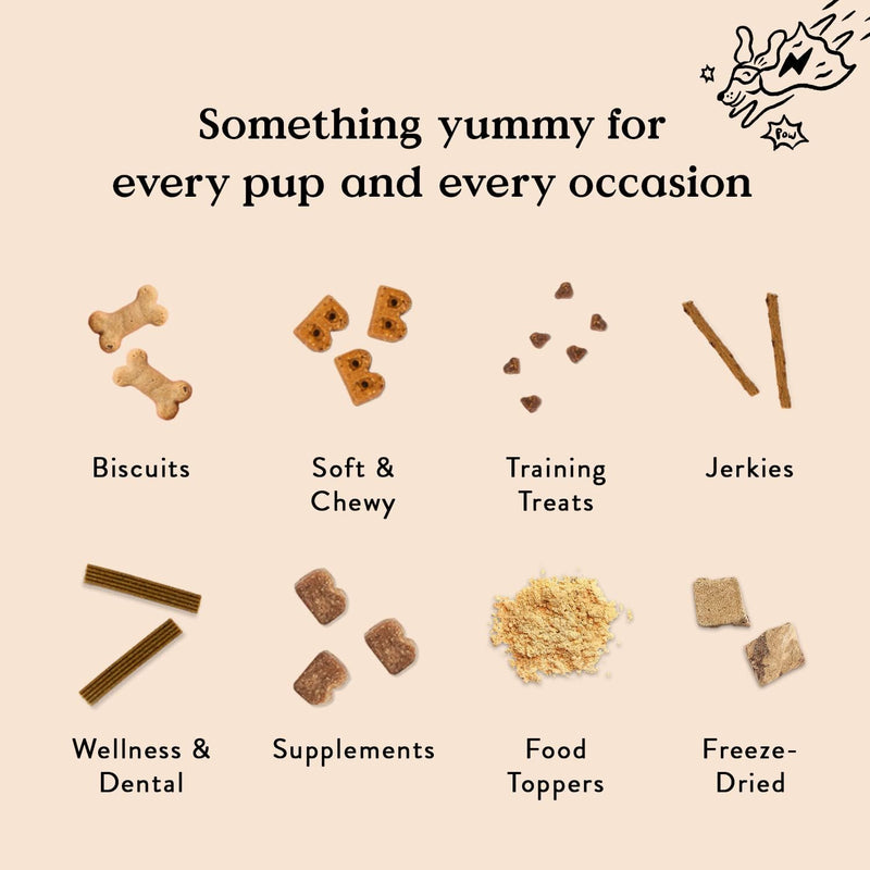 Bocce's Bakery Quack, Quack, Quack Training Treats for Dogs, Wheat-Free Dog Treats, Made with Real Ingredients, Baked in The USA, All-Natural & Low Calorie Training Bites, Duck & Blueberry, 6 oz