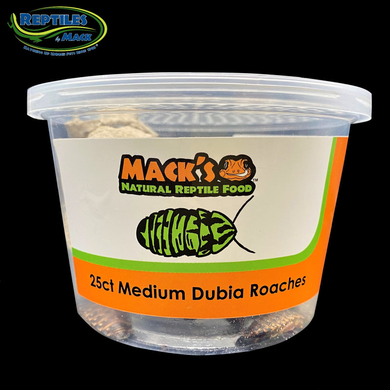 Mack's Natural Reptile Food Live Dubia Roaches