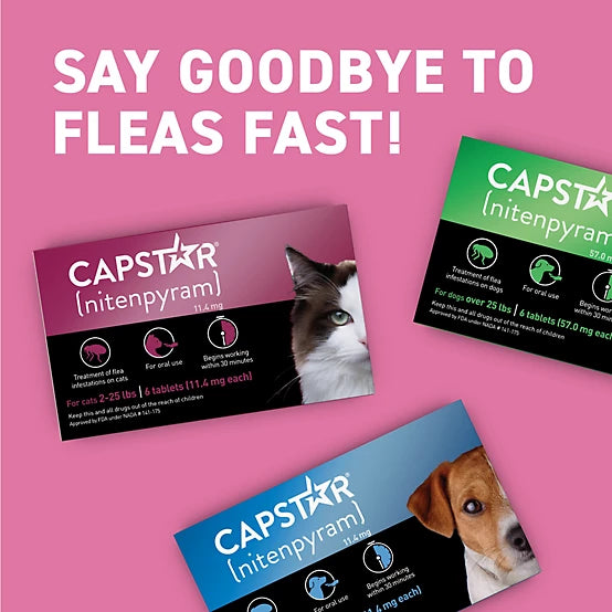 Capstar Oral Flea Treatment Tablets for Cats, 6 ct.