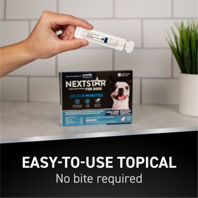 NextStar Flea and Tick Topical Treatment for Small Dogs, 3-Month Supply, 3 ct.