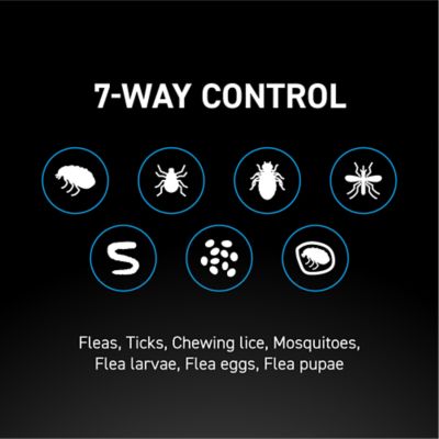 NextStar Flea and Tick Topical Treatment for Small Dogs, 3-Month Supply, 3 ct.