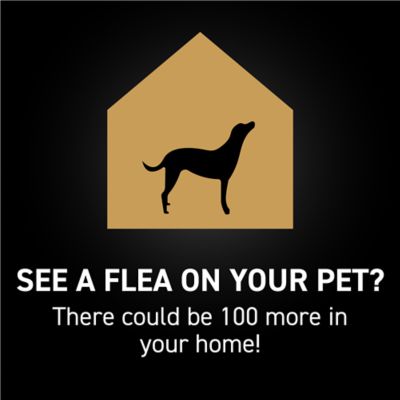 NextStar Fast-Acting Flea and Tick Treatment for Medium Dog 23-44 lb., 3 ct.