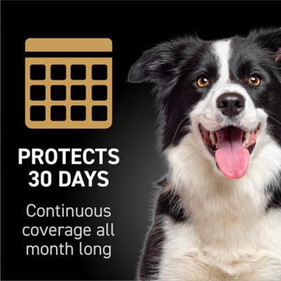 NextStar Fast-Acting Flea and Tick Treatment for Medium Dog 23-44 lb., 3 ct.