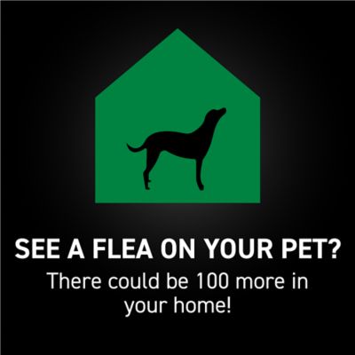 NextStar Flea and Tick Topical Treatment for Large Dogs, 3 ct.