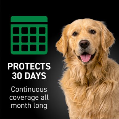 NextStar Flea and Tick Topical Treatment for Large Dogs, 3 ct.