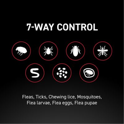 NextStar Flea and Tick Topical Treatment for X-Large Dogs, 3 Month Supply, 3 ct.