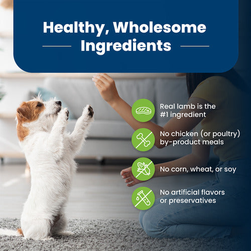 Blue Buffalo Life Protection Formula Adult Small Breed Dry Dog Food, Supports High Energy Needs, Made with Natural Ingredients, Lamb & Brown Rice Recipe, 5-lb Bag