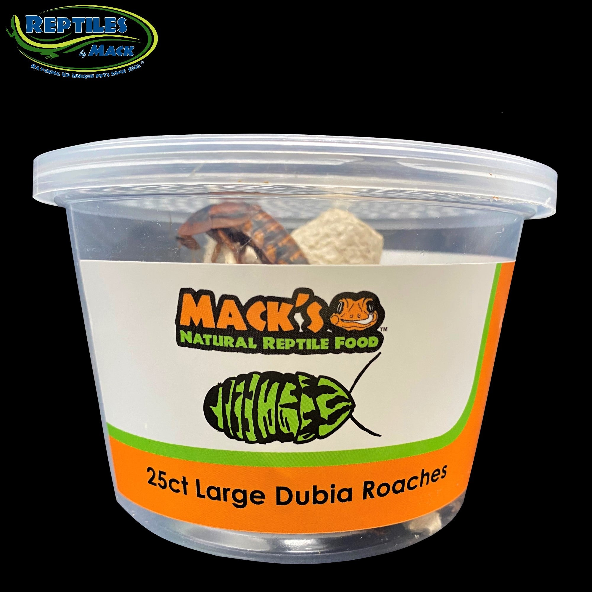 Mack's Natural Reptile Food Live Dubia Roaches – Petsense