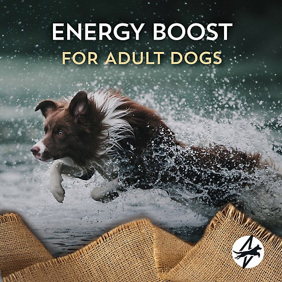 Wholesomes Energy Plus 24/20 Adult Beef Recipe Dry Dog Food, 40 lb. Bag