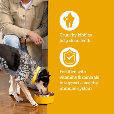 Pedigree Tender Bites for Small Dogs Adult Dry Dog Food, 14 lb.