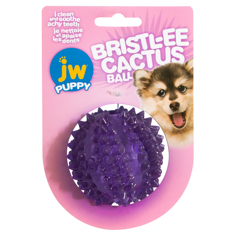 JW Bristl-ee Cactus Ball Puppy Toy