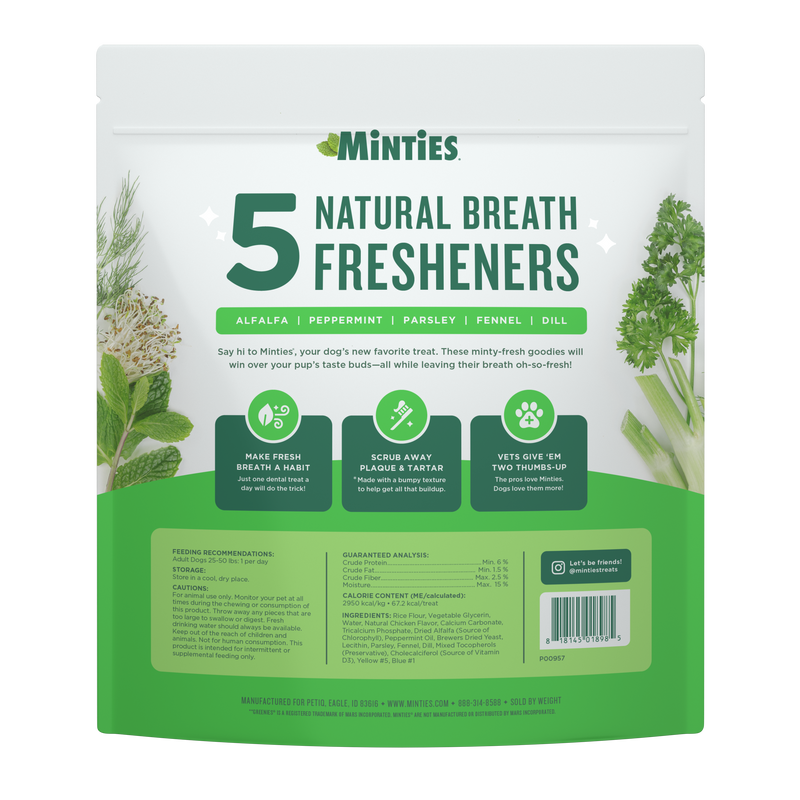 Minties Dog Dental Bone Treats Medium