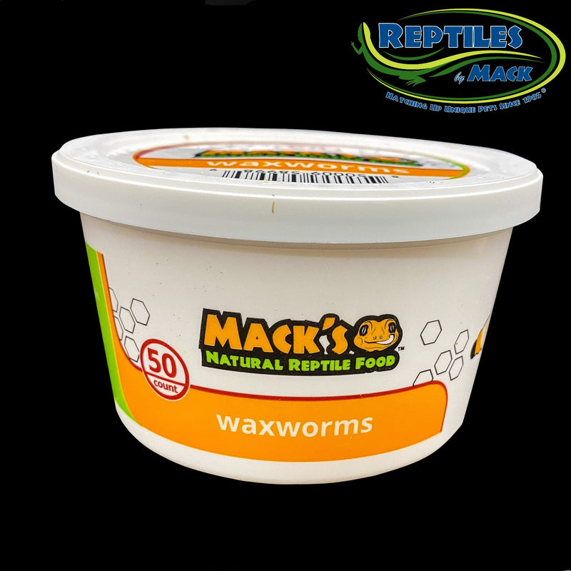 Mack's Natural Reptile Food Live Waxworms