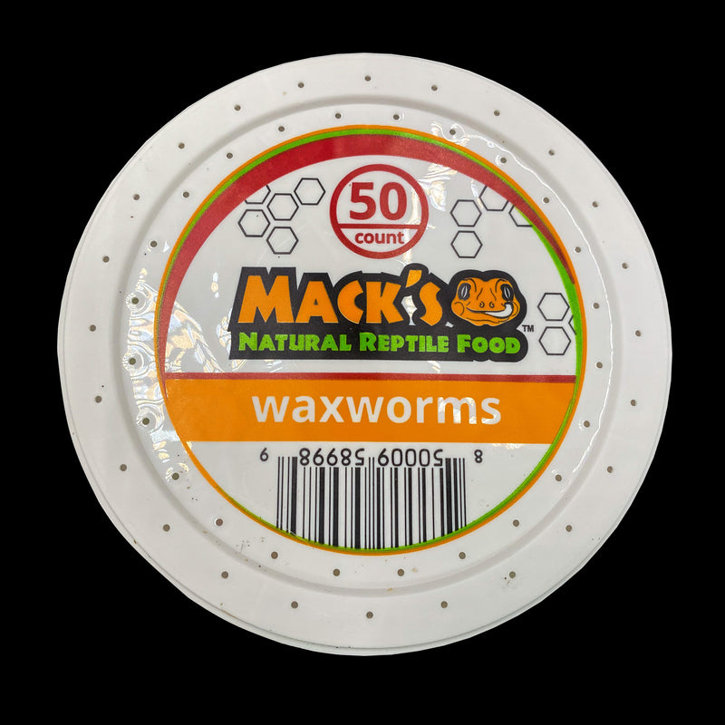 Mack's Natural Reptile Food Live Waxworms