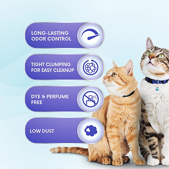 Paws & Claws Lightweight Unscented Clumping Clay with Baking Soda Cat Litter, 10 lb. Jug