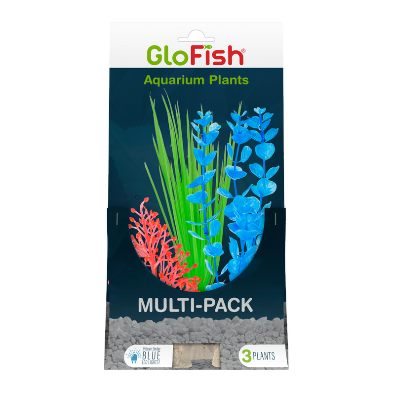 GloFish Multipack Plant 3 count