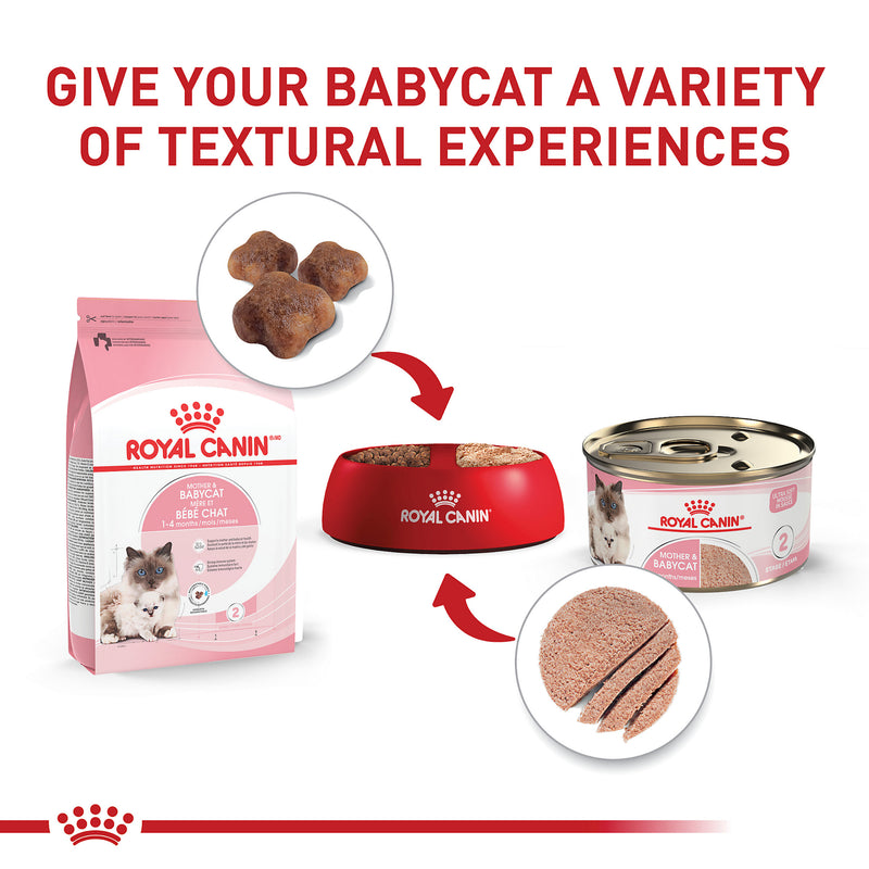 Royal Canin® Feline Health Nutrition™ Mother & Babycat Ultra Soft Mousse in Sauce Canned Cat Food, 3 oz, 12-Pack