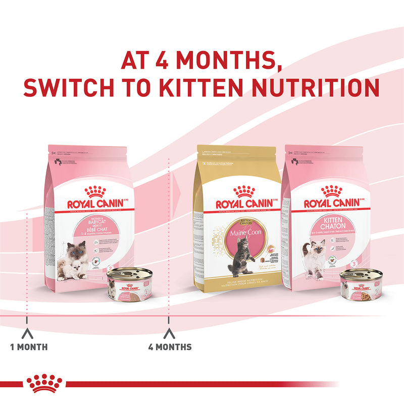 Royal Canin® Feline Health Nutrition™ Mother & Babycat Ultra Soft Mousse in Sauce Canned Cat Food, 3 oz, 12-Pack
