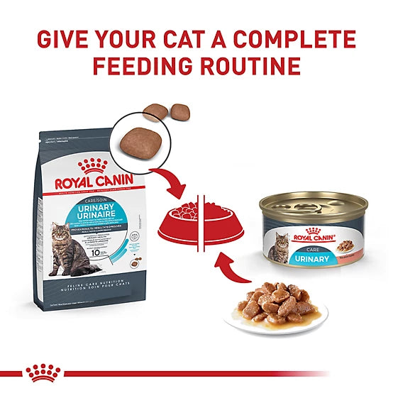 Royal Canin Adult Urinary Care Thin Slices in Gravy Wet Cat Food, 13 oz., Pack of 12 Cans