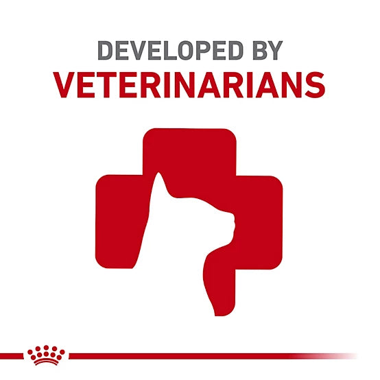 Royal Canin Adult Urinary Care Thin Slices in Gravy Wet Cat Food, 13 oz., Pack of 12 Cans