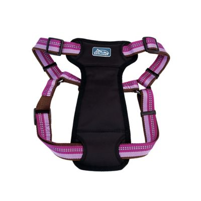 Coastal Pet K9 Explorer Harness, Orchid