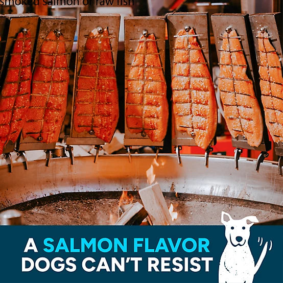 Cloud Star Wag More Bark Less Jerky Dog Treats, Smoked Salmon, 10 oz.