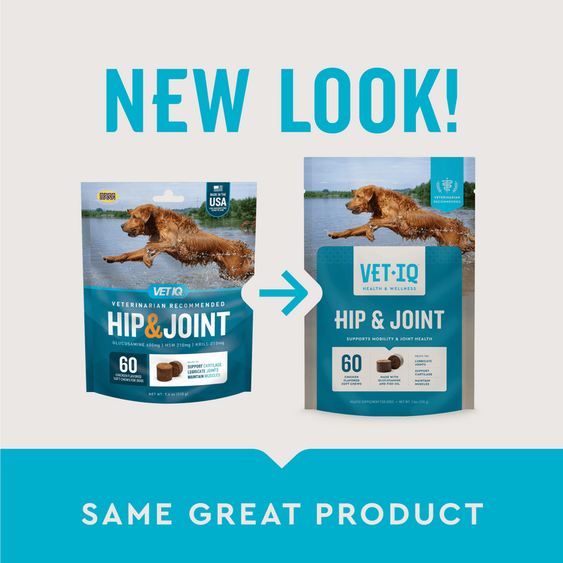 VetIQ Hip & Joint Chews for Dogs, Chicken Flavor, 60 Count