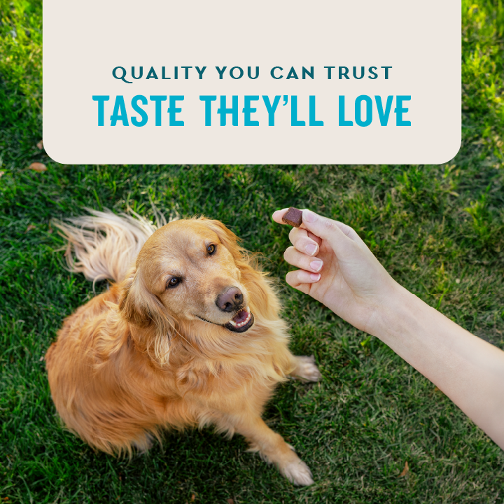 VetIQ Hip & Joint Chews for Dogs, Chicken Flavor, 60 Count