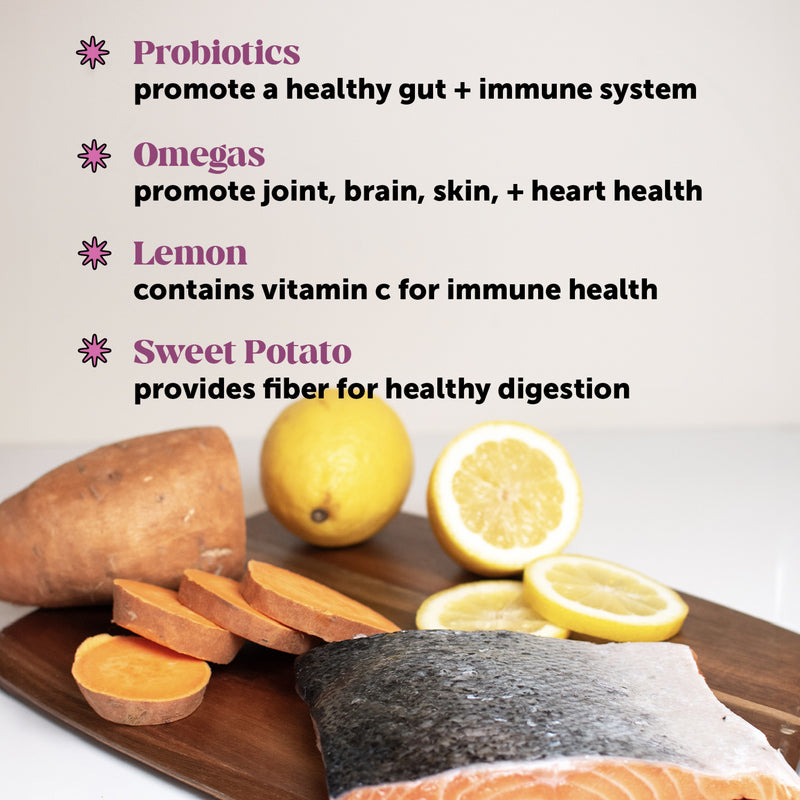 Pet Honesty 10-for-1 Multivitamin Chicken Soft Chew for Dogs