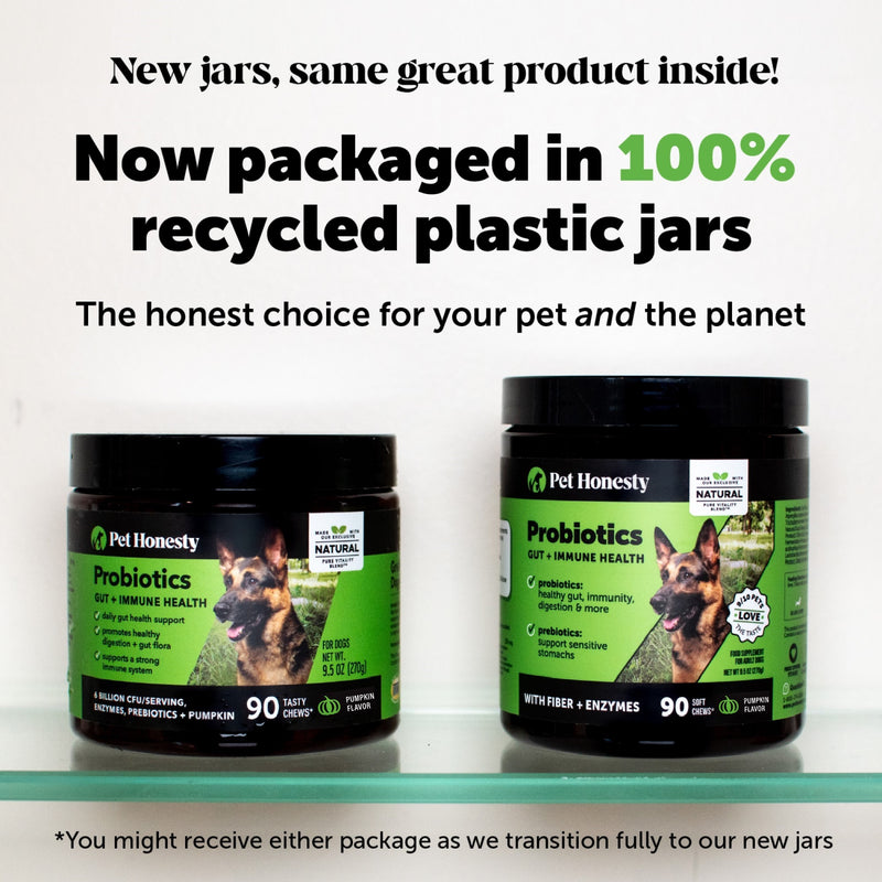 Pet Honesty Digestive Probiotics Pumpkin Soft Chew for Dogs