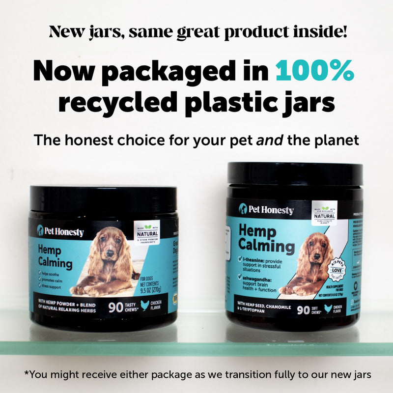 Pet Honesty Hemp Calming Chicken Soft Chew for Dogs