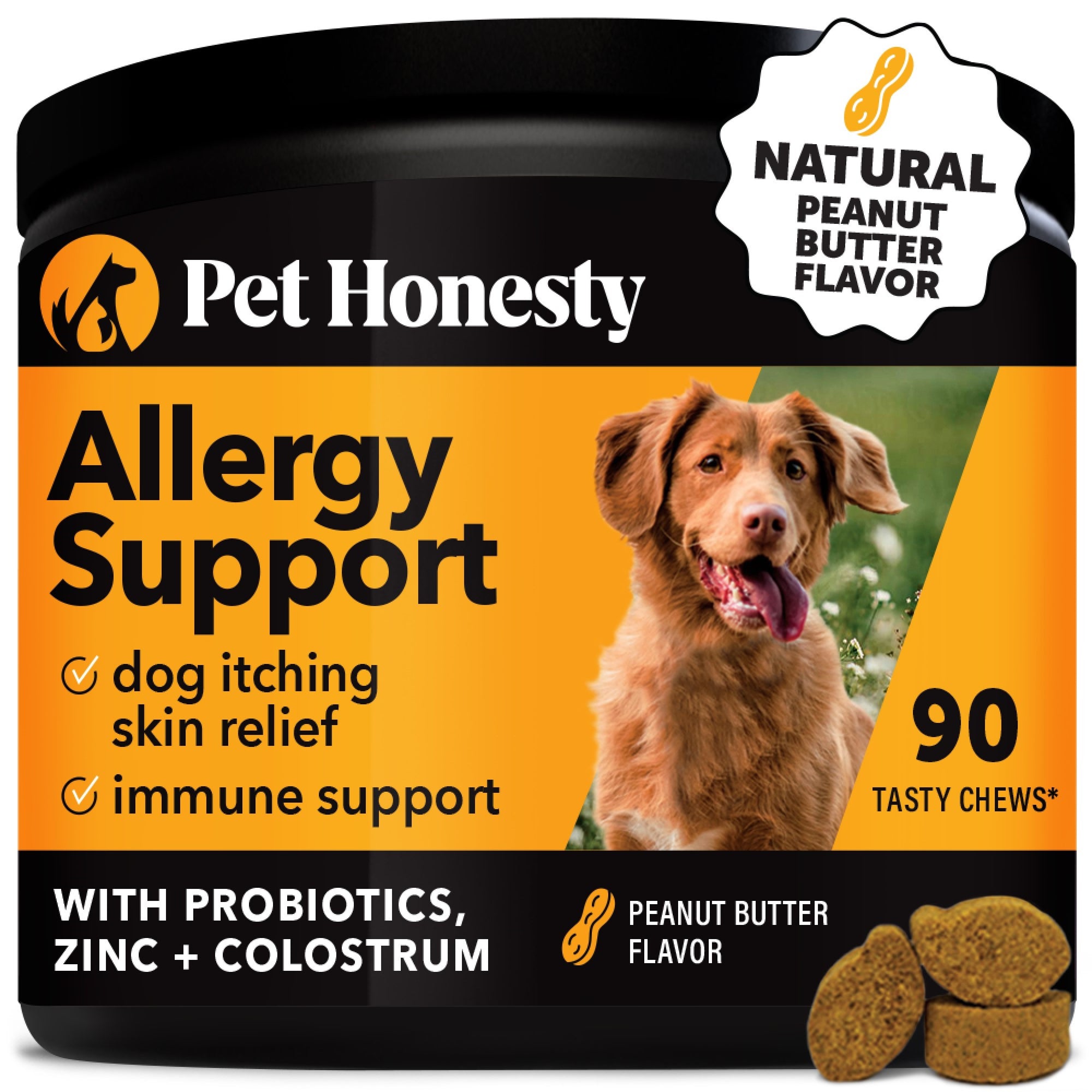 Dog Food Issues: Top Solutions to Keep Your Pup Healthy