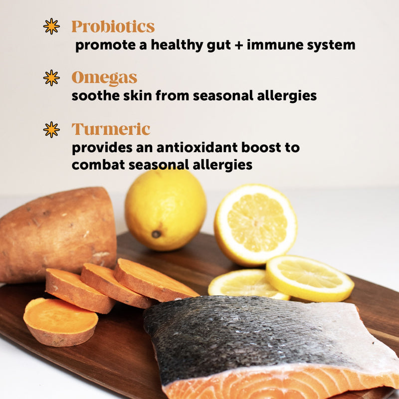 Pet Honesty Allergy Support Peanut Butter Soft Chew for Dogs