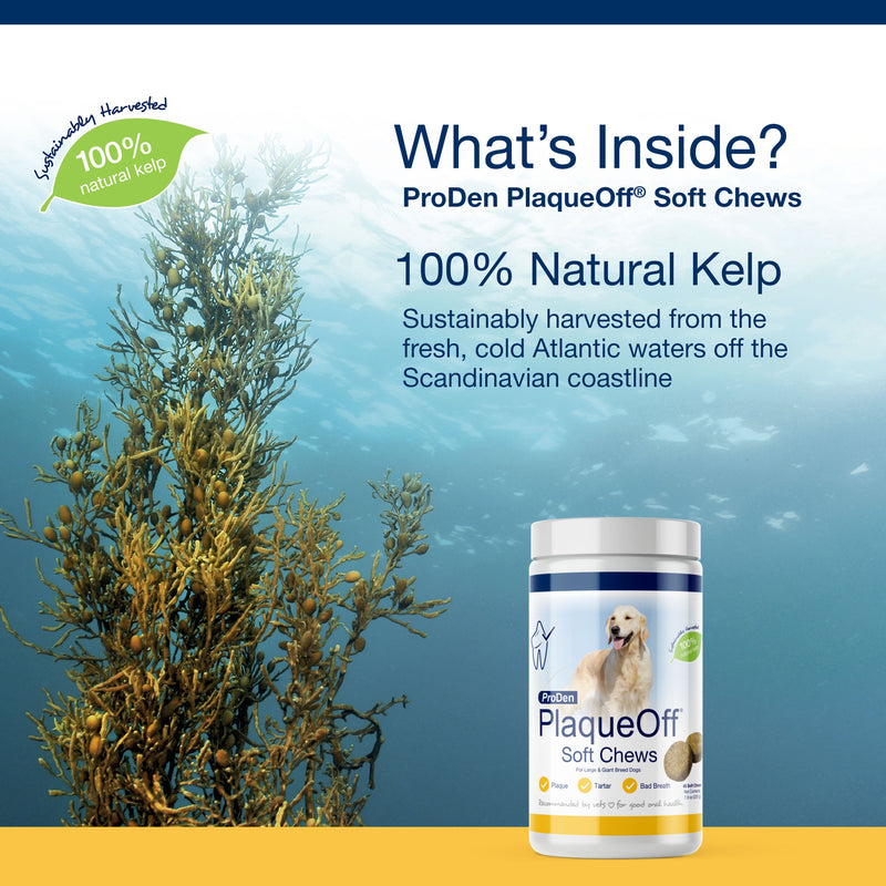 ProDen PlaqueOff® Soft Chews For Large and Giant Breed Dogs